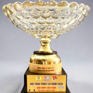 Cúp đế gỗ, đĩa pha lê