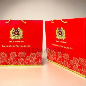 Túi giấy - Mẫu 01